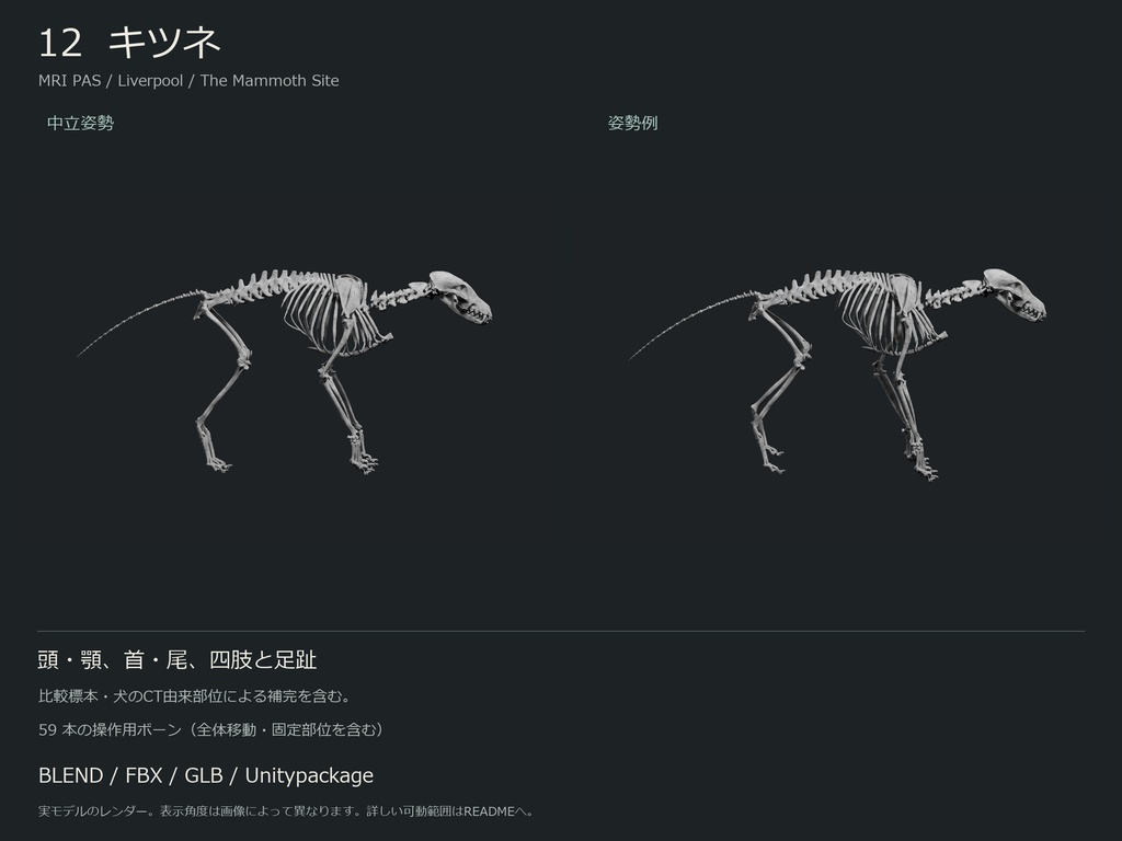 人間・動物・恐竜の骨格17種セット(部位可動版)|BLEND・FBX・GLB・Unity
