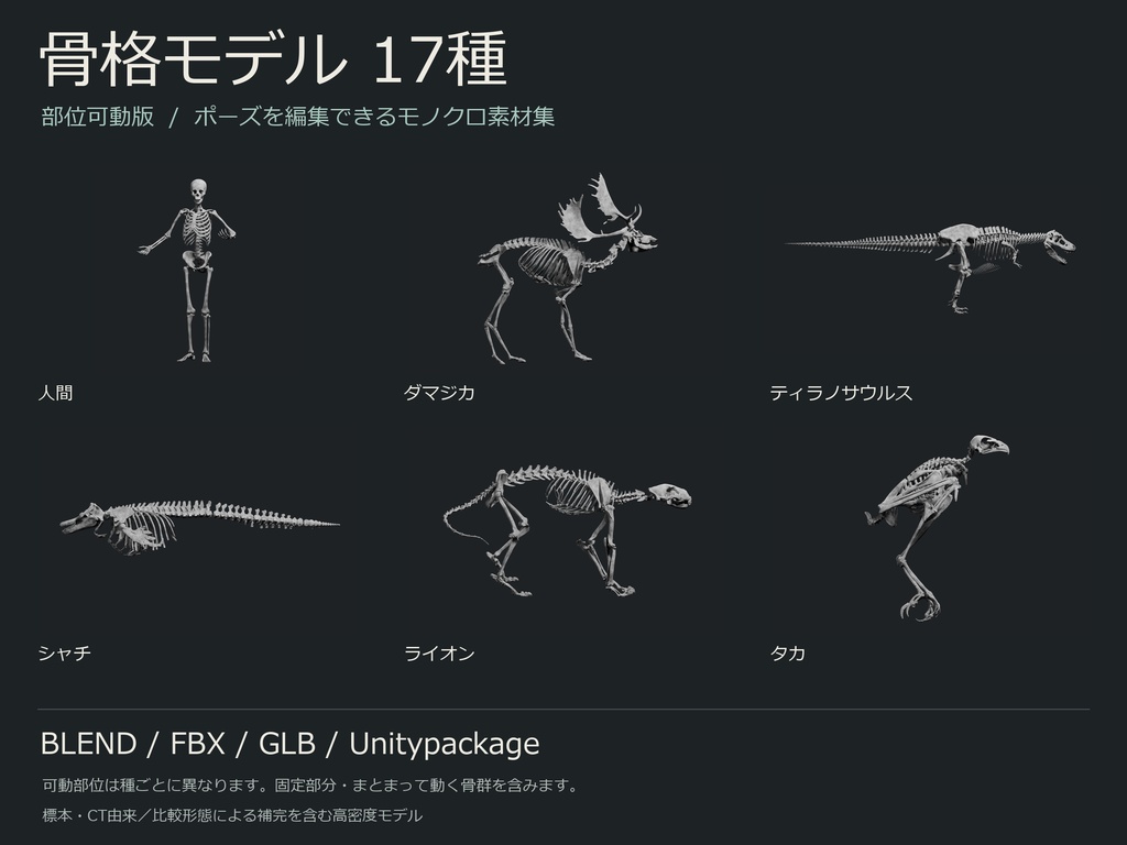 人間・動物・恐竜の骨格17種セット(部位可動版)|BLEND・FBX・GLB・Unity