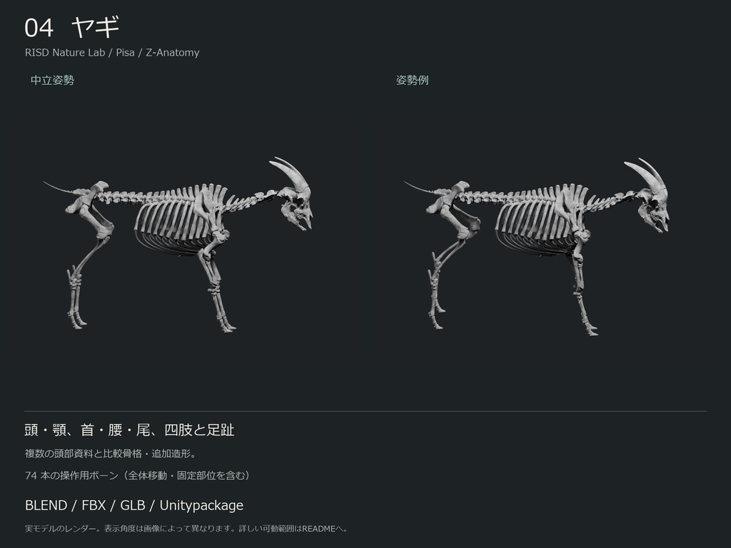 人間・動物・恐竜の骨格17種セット(部位可動版)|BLEND・FBX・GLB・Unity