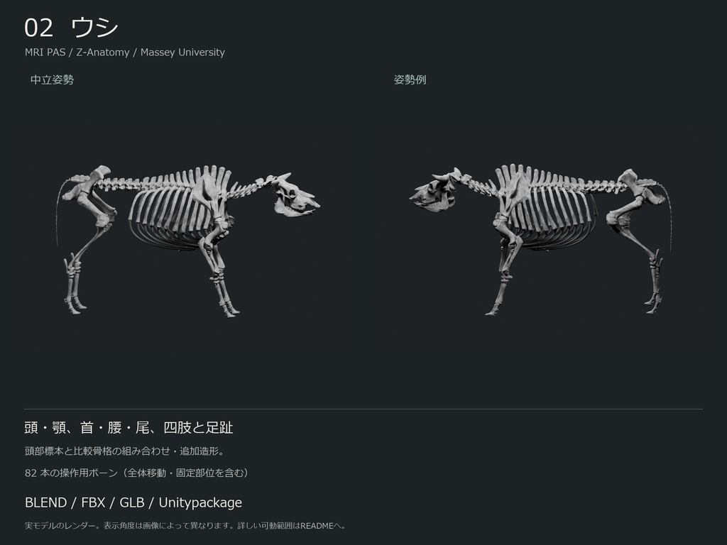人間・動物・恐竜の骨格17種セット(部位可動版)|BLEND・FBX・GLB・Unity
