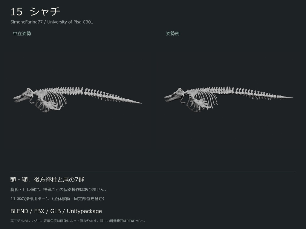 人間・動物・恐竜の骨格17種セット(部位可動版)|BLEND・FBX・GLB・Unity