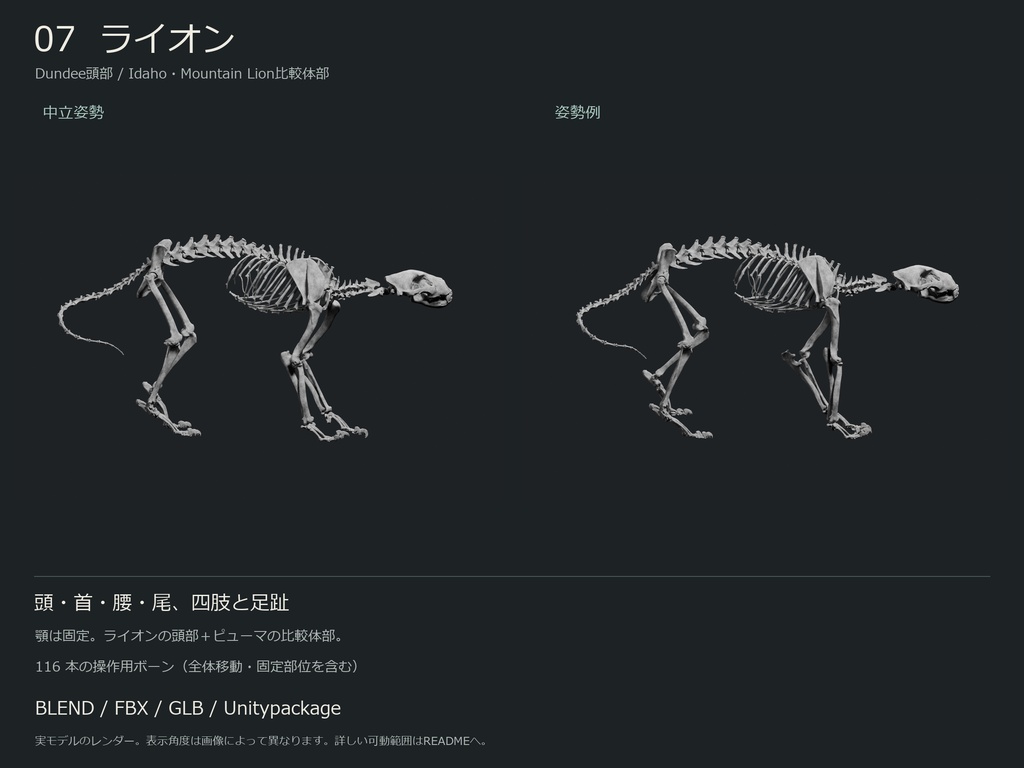 人間・動物・恐竜の骨格17種セット(部位可動版)|BLEND・FBX・GLB・Unity