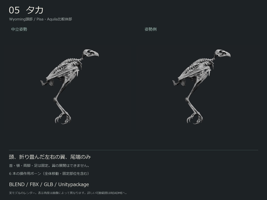 人間・動物・恐竜の骨格17種セット(部位可動版)|BLEND・FBX・GLB・Unity