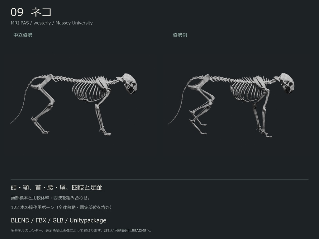 人間・動物・恐竜の骨格17種セット(部位可動版)|BLEND・FBX・GLB・Unity