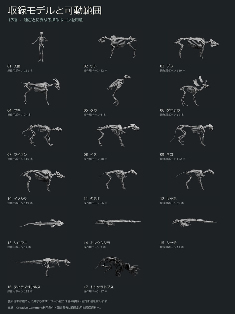 人間・動物・恐竜の骨格17種セット(部位可動版)|BLEND・FBX・GLB・Unity