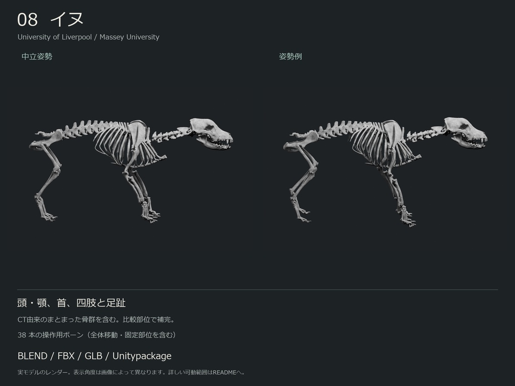 人間・動物・恐竜の骨格17種セット(部位可動版)|BLEND・FBX・GLB・Unity