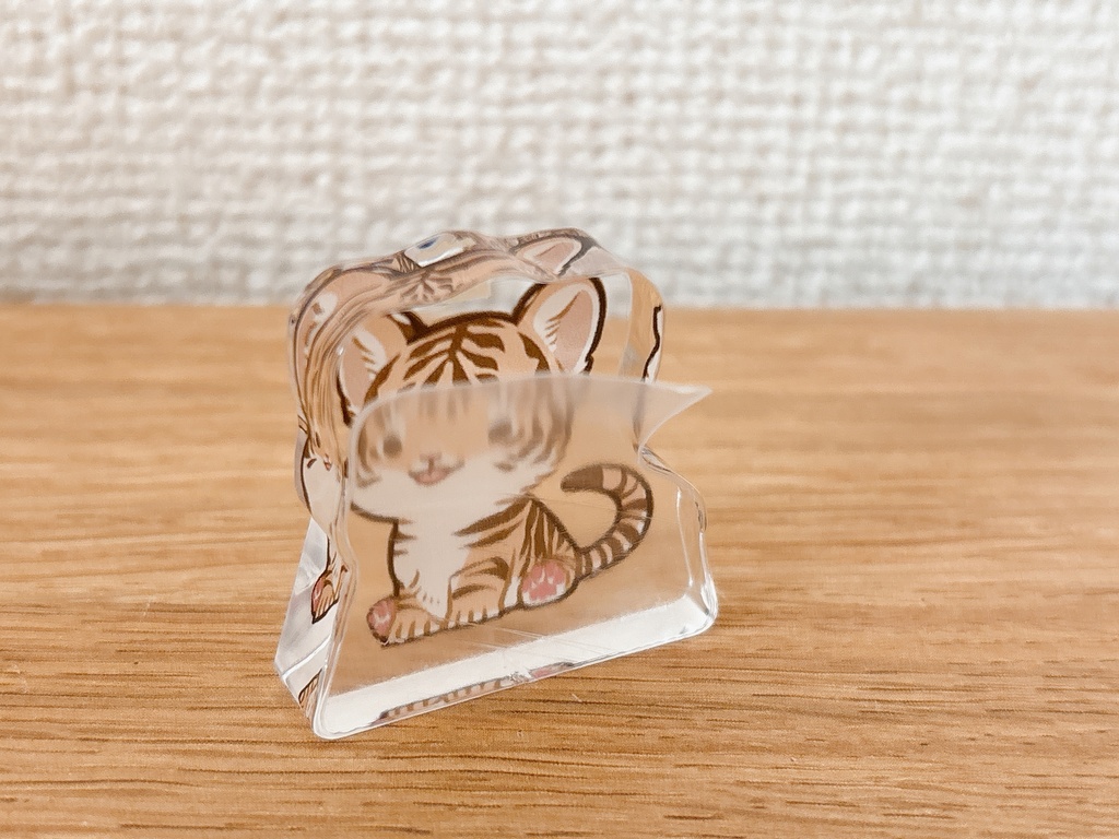 ネコ科のあかちゃんアクリルブロック