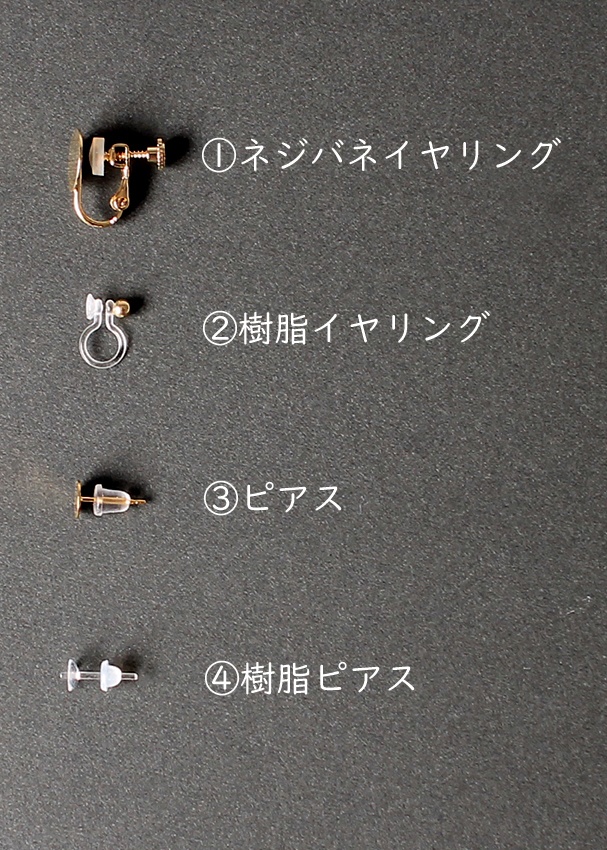 シャノワール イヤリングorピアス