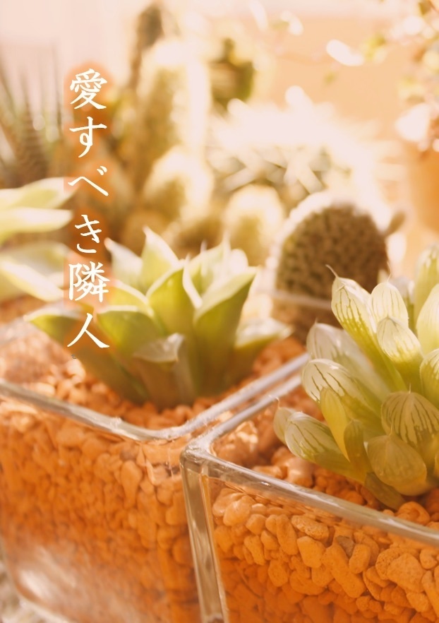愛すべき隣人