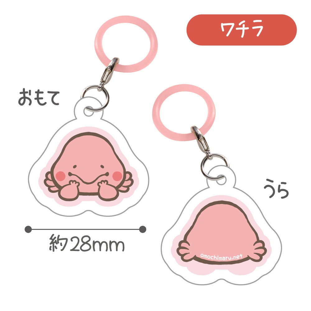 めじるしアクリルマーカー(2種)