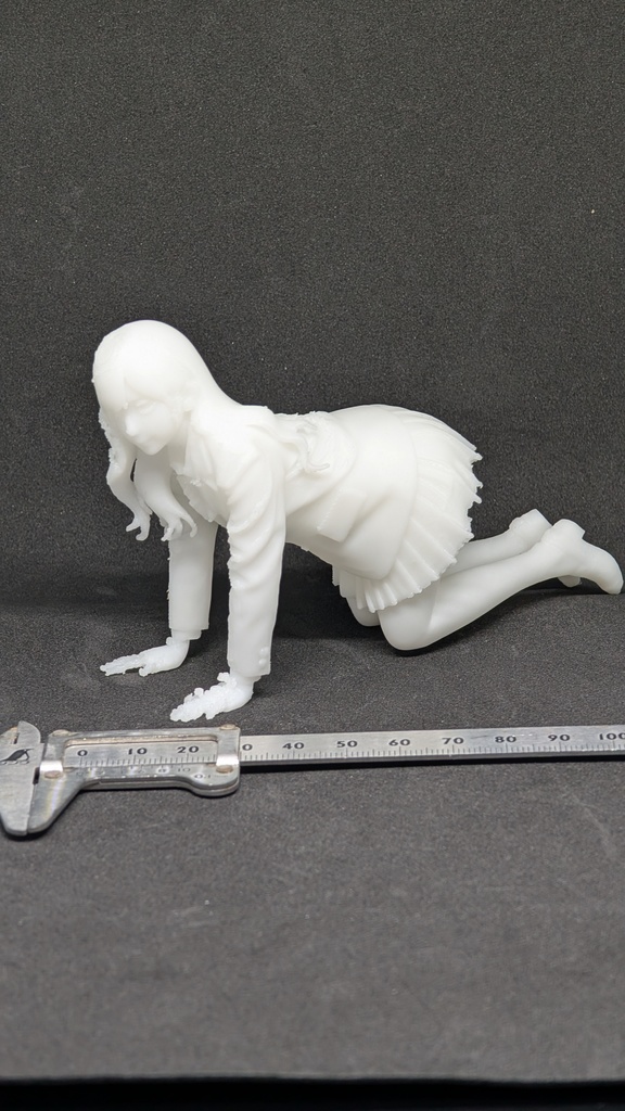 【テスト出力・特別価格】3Dスキャン リアル人物フィギュア 制服JK・四つん這い（超柔軟TPE素材）