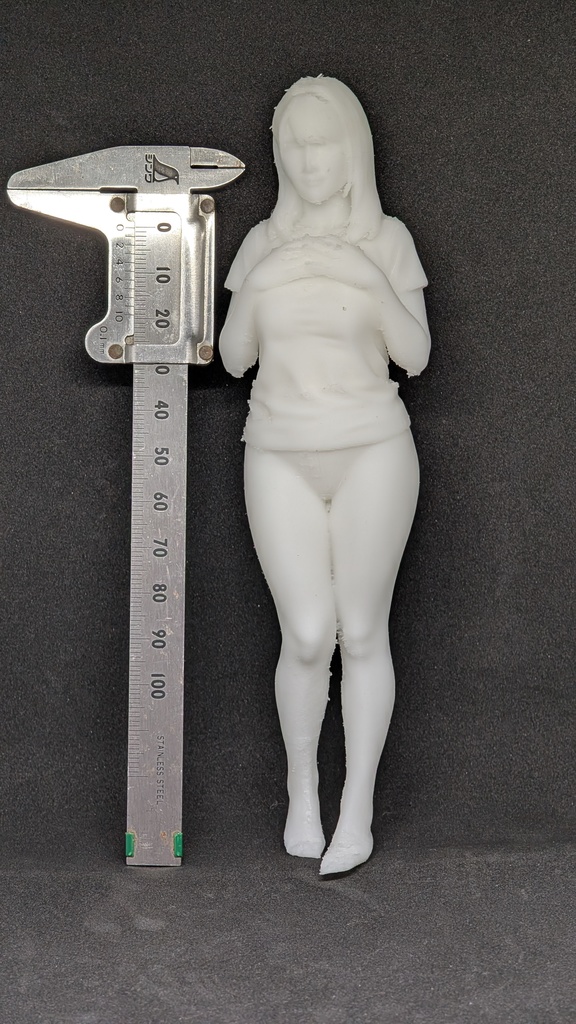 【テスト出力・特別価格】3Dスキャン リアル人物フィギュア Tシャツスタイル（超柔軟TPE素材）