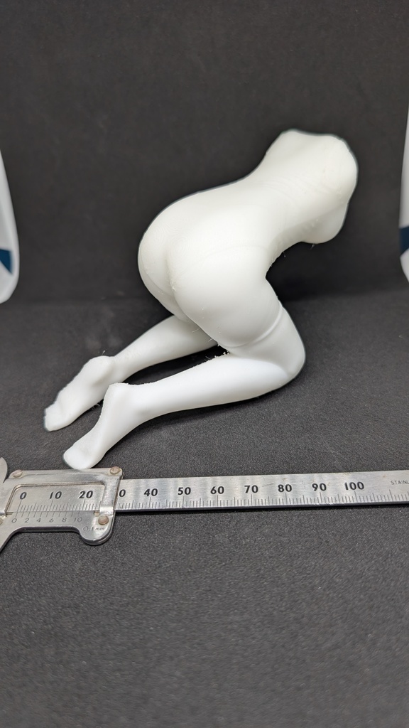 【テスト出力・特別価格】3Dスキャン リアル人物トルソー 競泳水着（超柔軟TPE素材）