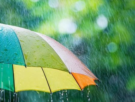 清浄なる雨