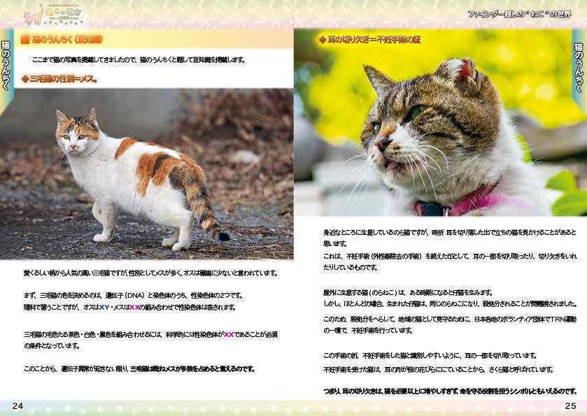 【2022夏期 新刊】ぬこの世界・ファインダー越しの猫の世界