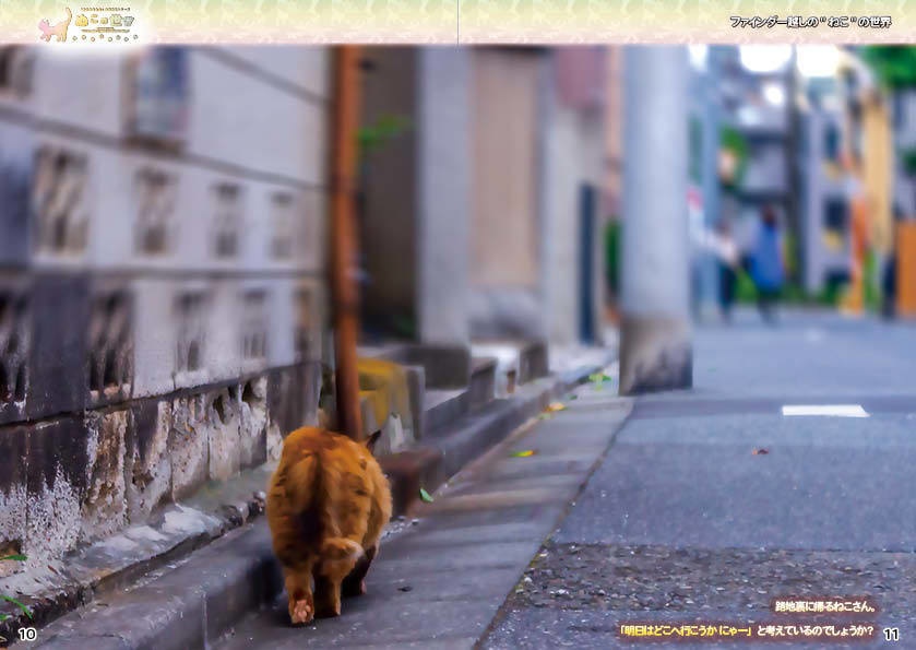 【2022夏期 新刊】ぬこの世界・ファインダー越しの猫の世界