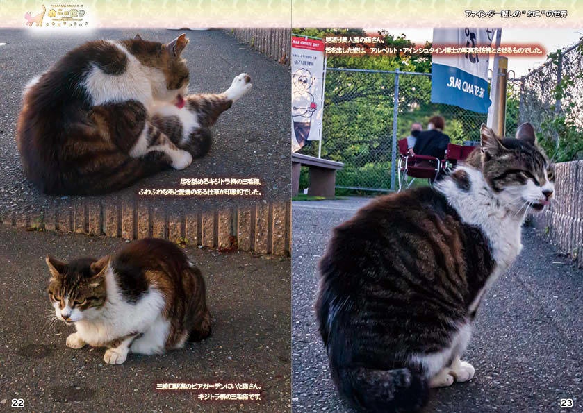 【2022夏期 新刊】ぬこの世界・ファインダー越しの猫の世界