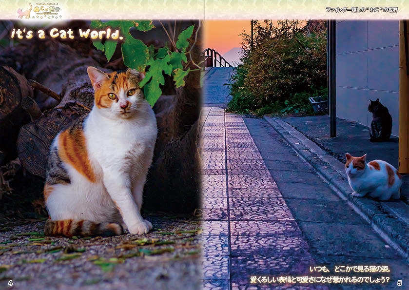 【2022夏期 新刊】ぬこの世界・ファインダー越しの猫の世界