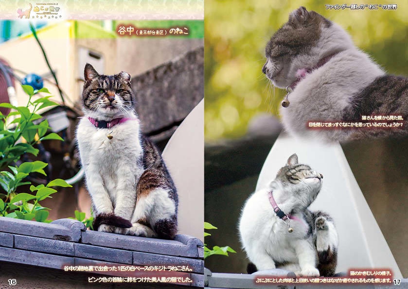 【2022夏期 新刊】ぬこの世界・ファインダー越しの猫の世界