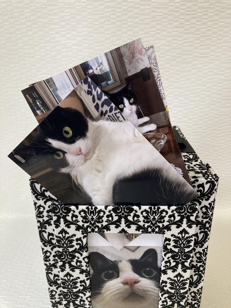 A16 ペット用お仏壇 骨壺カバー 完全オーダーメイドでおつくりします