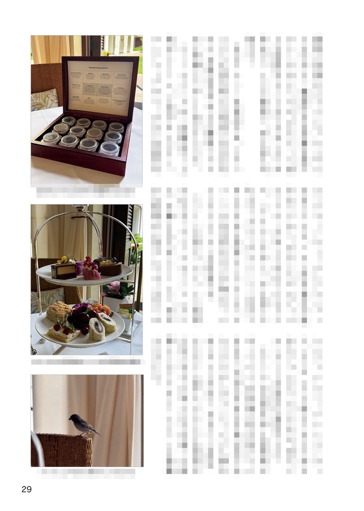 ヌン茶をしばき倒す本 2024夏