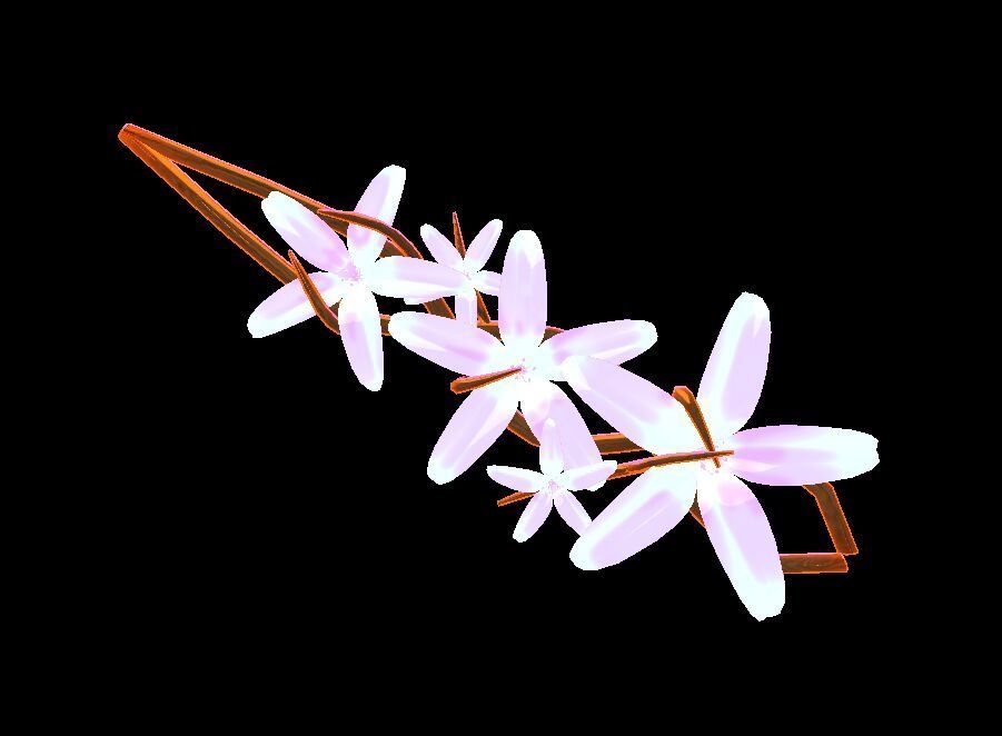 ヒヤシンスのヘアピン