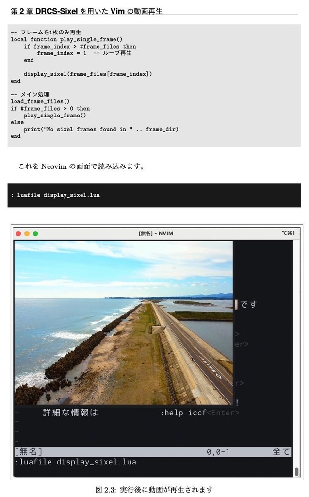 Vimで動画を見よう! Neovimで作る最高の動画プレイヤー