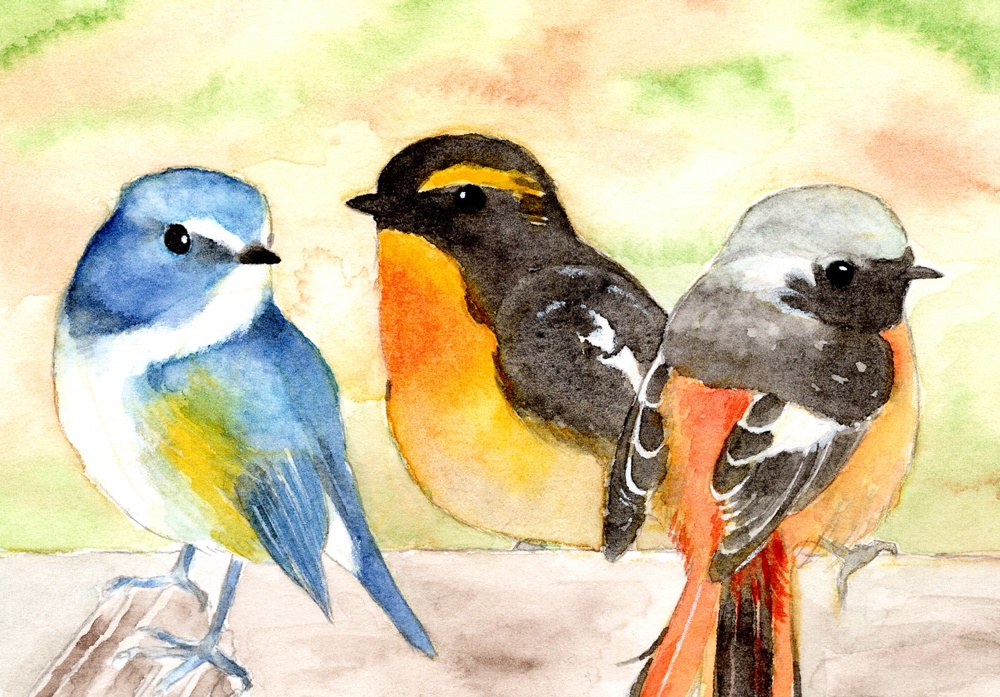【額装ミニ原画】鳥トリオ