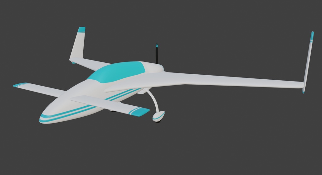 Canard Airplane