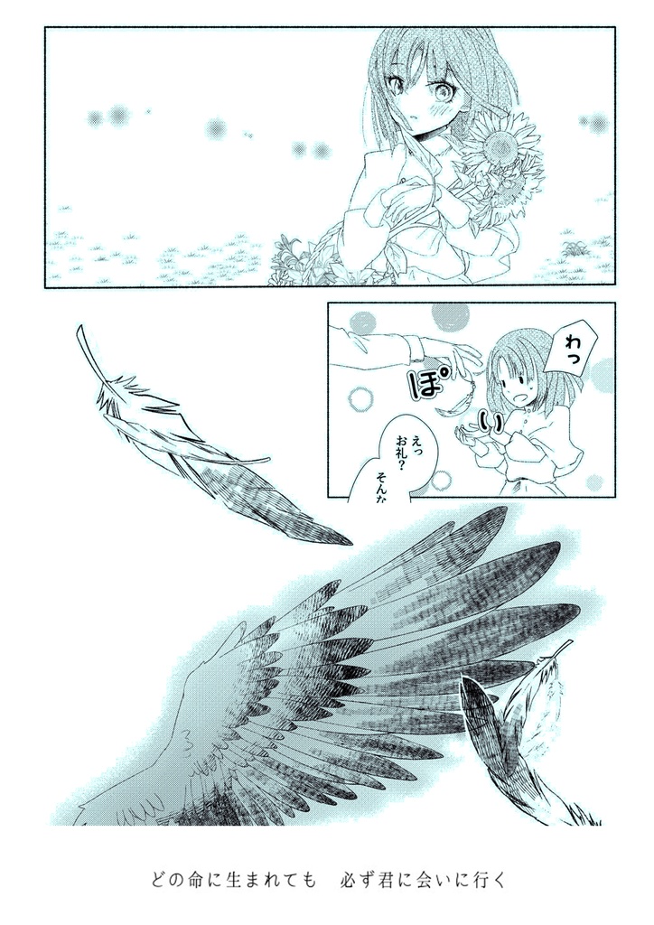 テーマ合同誌「ZEBRA」