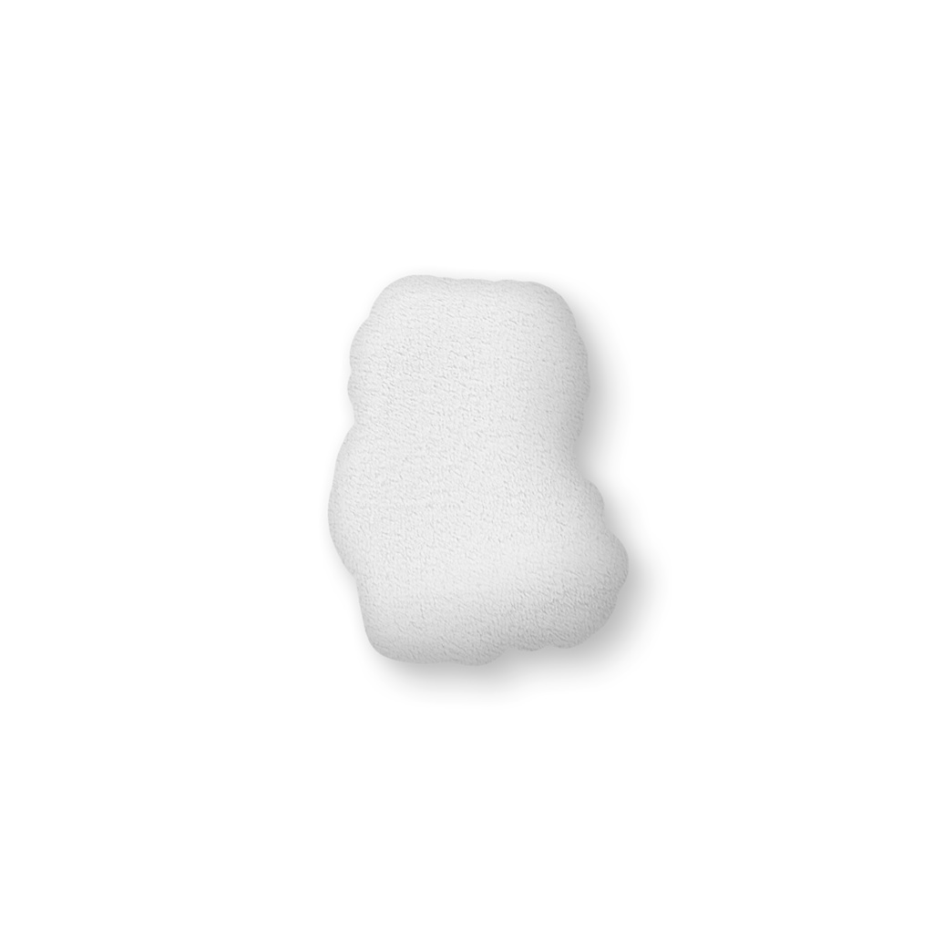 5th Anniversary ver.チョコミント