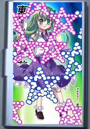 東風谷 早苗のカードケース