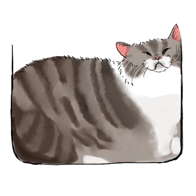 液体猫シリーズ　野良ネコのボス