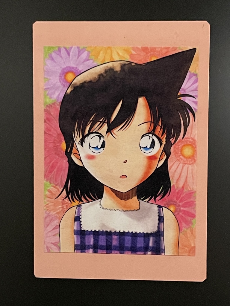 毛利蘭（幼少）マグネット＆ステッカーセット＊名探偵コナンイラスト