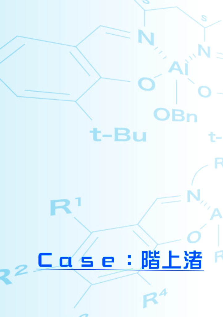 Ｃａｓｅ：階上渚