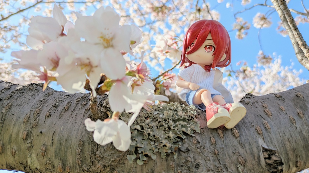 ショートパンツ[ねんどろいどどーる]