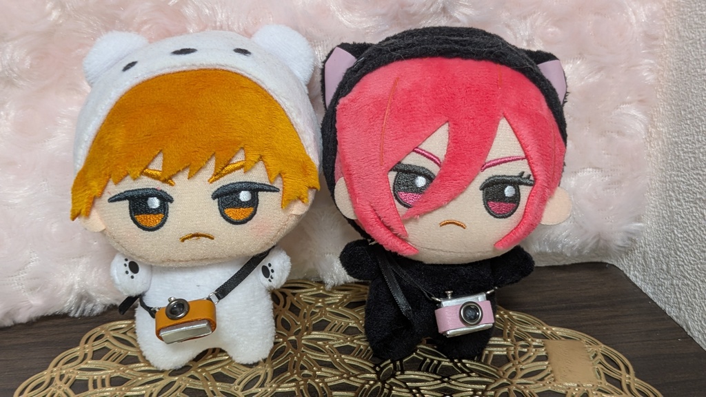一眼レフ[ねんどろいどどーる他]