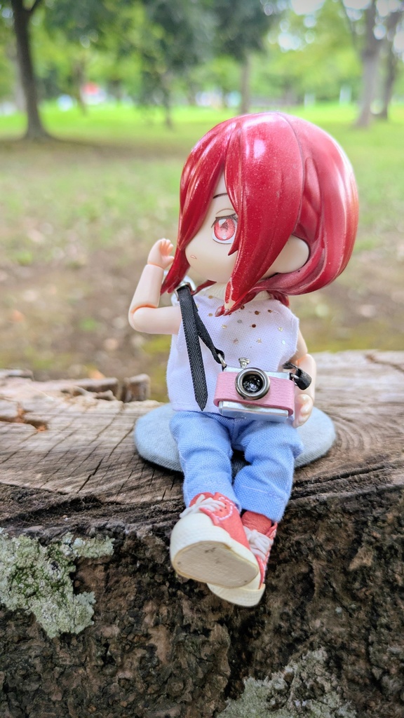 一眼レフ[ねんどろいどどーる他]