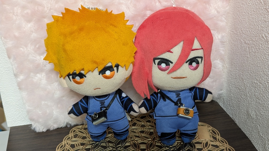 一眼レフ[ねんどろいどどーる他]