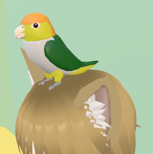 【3Dモデル】シロハラインコ【VRChat】