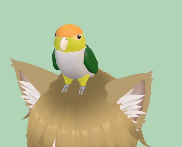 【3Dモデル】シロハラインコ【VRChat】