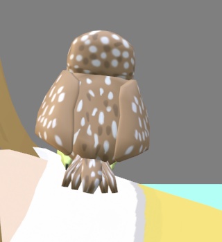 【VRChat】コキンメフクロウ【3Dモデル】