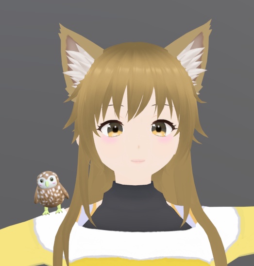 【VRChat】コキンメフクロウ【3Dモデル】
