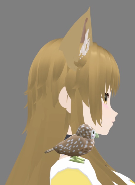 【VRChat】コキンメフクロウ【3Dモデル】