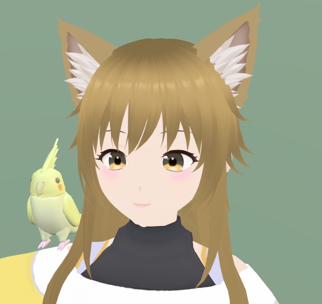 【VRChat】オカメインコ【3Dモデル】Vo._24_