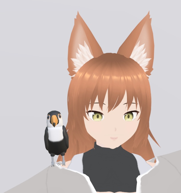 【VRChat】オオハシ【3Dモデル】