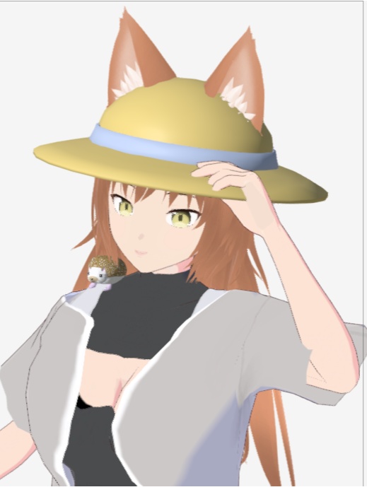 【VRChat】麦わら帽子2点セット【3Dモデル】