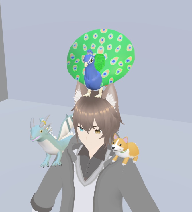 【VRChat】クジャク(羽を広げている状態)【3Dモデル】