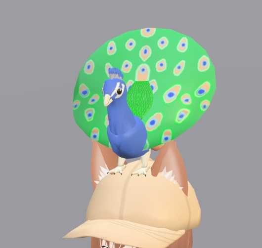 【VRChat】クジャク(羽を広げている状態)【3Dモデル】