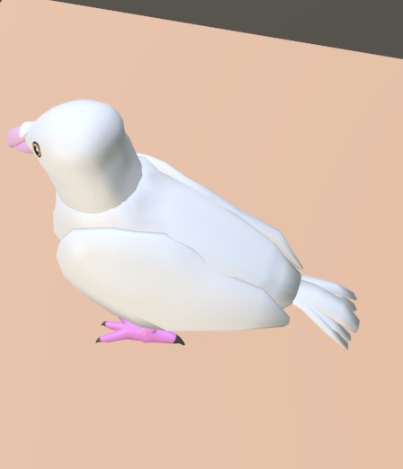 【VRChat】ハト(鳩)【3Dモデル】Vo._107_